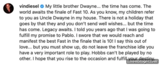 Vin Diesel's Desperate Appeal: Dwayne Johnson Must Return for Fast 10 3 Vin Diesel