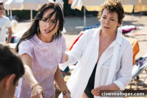Netflix Films Honored By The Oscars Including Marriage Story And The Power Of The Dog 5 The Lost Daughter