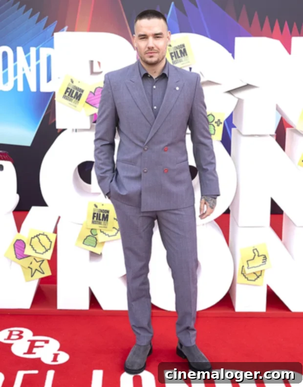 Discover Aliana Mawla 5 Things You Need To Know About Liam Paynes New Flame 2 Liam Payne