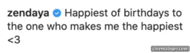 Zendaya Attributes 26th Birthday Bliss to Tom Holland 2 img 4753881 1