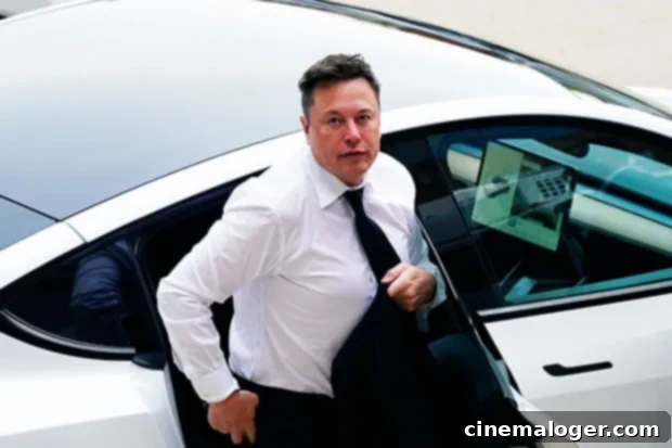 Elon Musk's Dad Delivers Weighty Criticism to Billionaire Son 2 elon musk