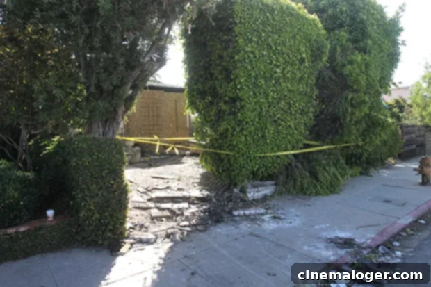 Anne Heche Could Face Hit and Run Charges If Intoxicated in Fiery Crash 3 Police confirmed that the driver hit a home during the terrifying crash.