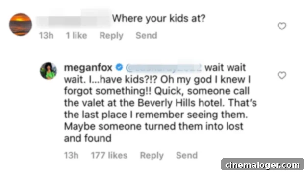 Megan Fox's witty reply to a troll on Instagram