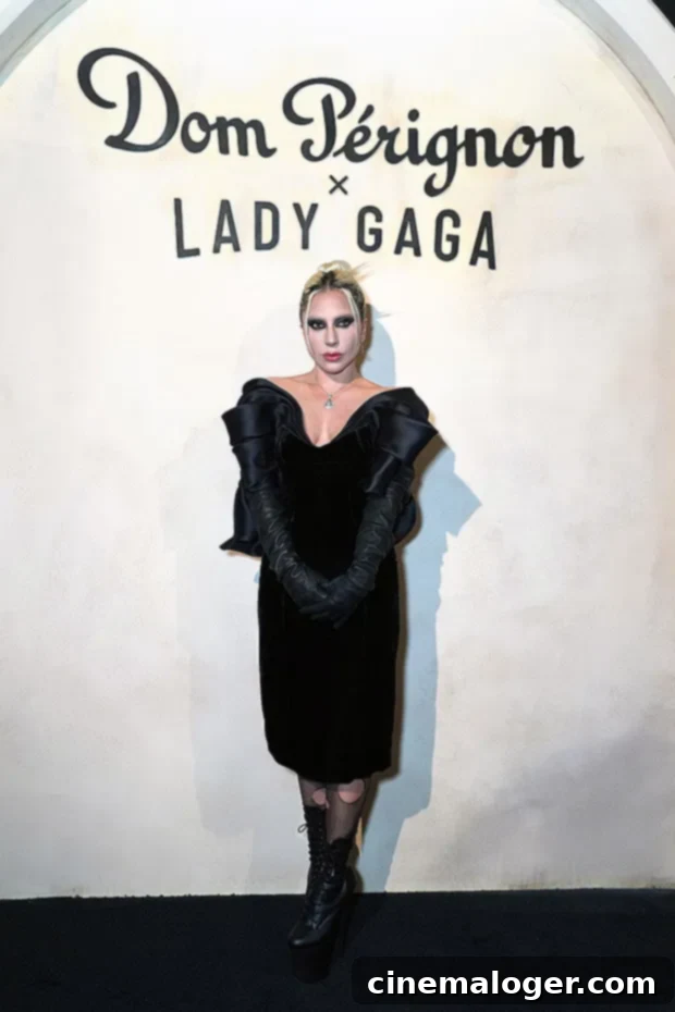 Lady Gaga's Ghoulish Glamour at Dom Perignon Soiree 2 gaga solo