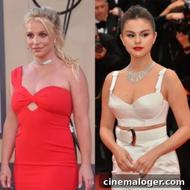 Britney Spears Fans Spot Selena Gomez Shade in New Hypocrites Post 2 selena & britney