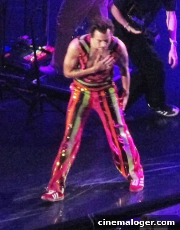 Harry Styles Chooses Vans, Sidelines Adidas Before Kanye West Axing 2 harry styles
