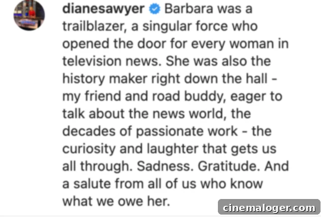 Oprah Winfrey, Monica Lewinsky and Leading Women Honor Barbara Walters 4 Diane Sawyer pays tribute to Barbara Walters.