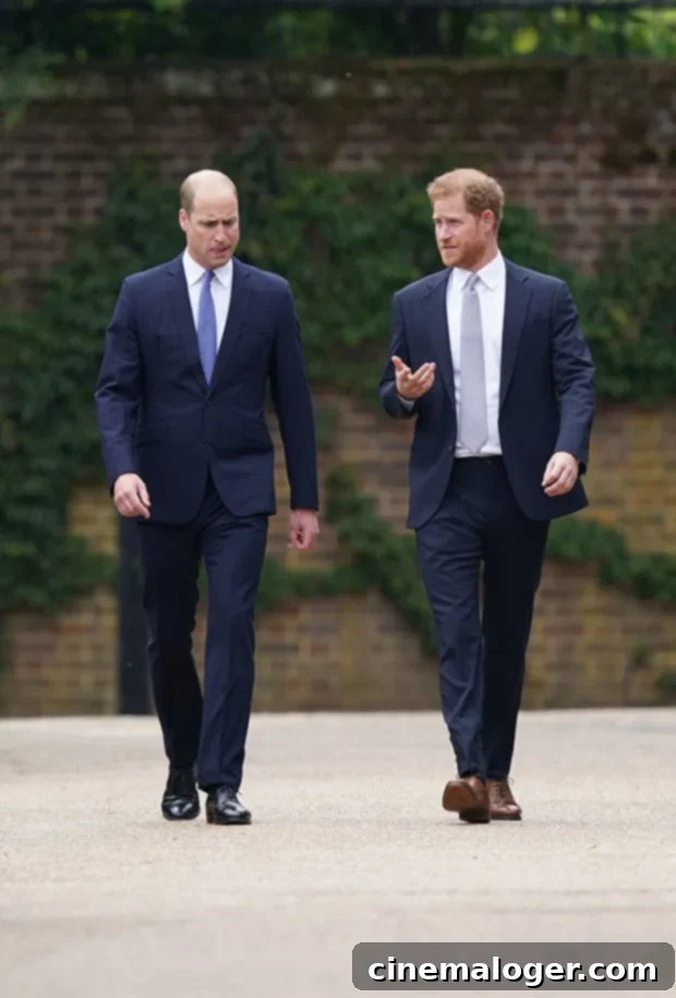 Prince Harry: Rain-Drenched Debut Amid William Attack Claims 3 Prince Harry detailed an aggressive fight with his brother Prince William in a new excerpt from his memoir.