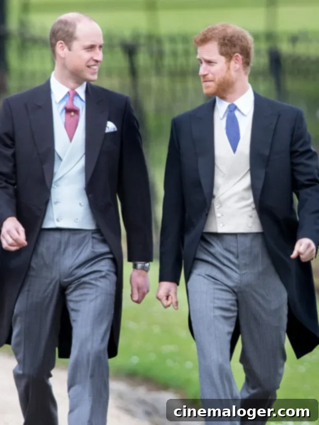 Prince Harry Alleges William Provoked Him Into Hitting Back 2 prince harry prince william