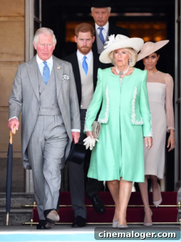Prince Harry Explains Why Camilla Poses a Danger and Their Current Bond 2 prince harry king charles camilla