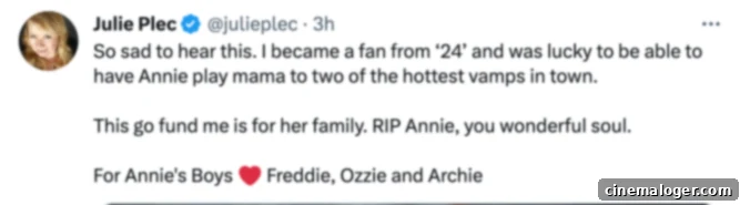 Paul Wesley Grieves Annie Wersching, His Vampire Diaries Mother 4 Julie Plec mourns Annie Wersching on Twitter.