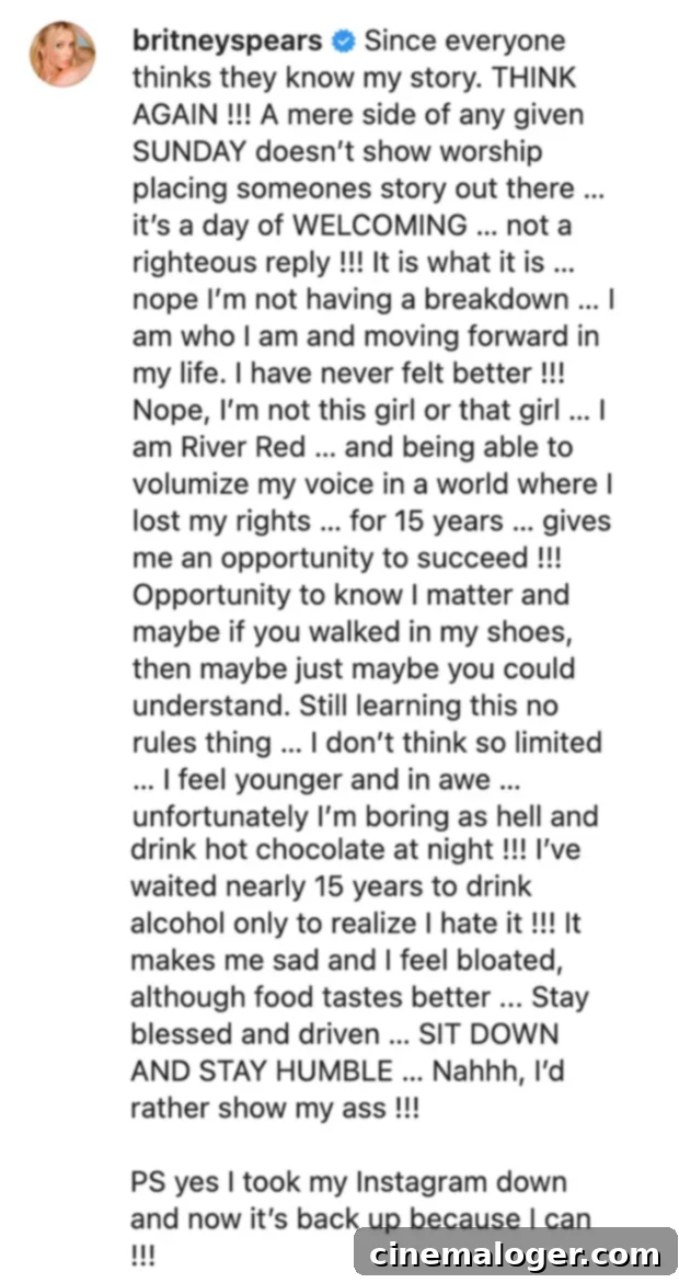 Britney Spears Back On Instagram Following Welfare Check 2 Britney Spears