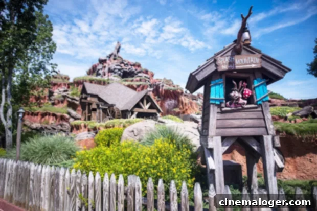 Anika Noni Rose Reflects On Tiana's Enduring Legacy As Splash Mountain Ride Transforms 3 Splash Mountain attraction at Walt Disney World Resort