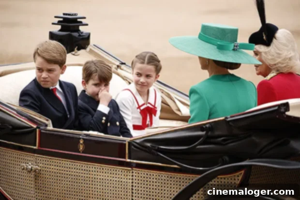Prince Louis's Hilarious Manure Moment at King Charles' Trooping the Colour 2 Prince Louis covering his face during the Trooping the Colour parade, showing a funny reaction to the horses.