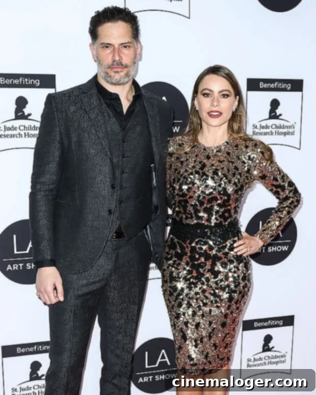 Joe Manganiello Files For Divorce From Sofia Vergara 2 Joe Manganiello Officially Files For Divorce From Sofia Vergara