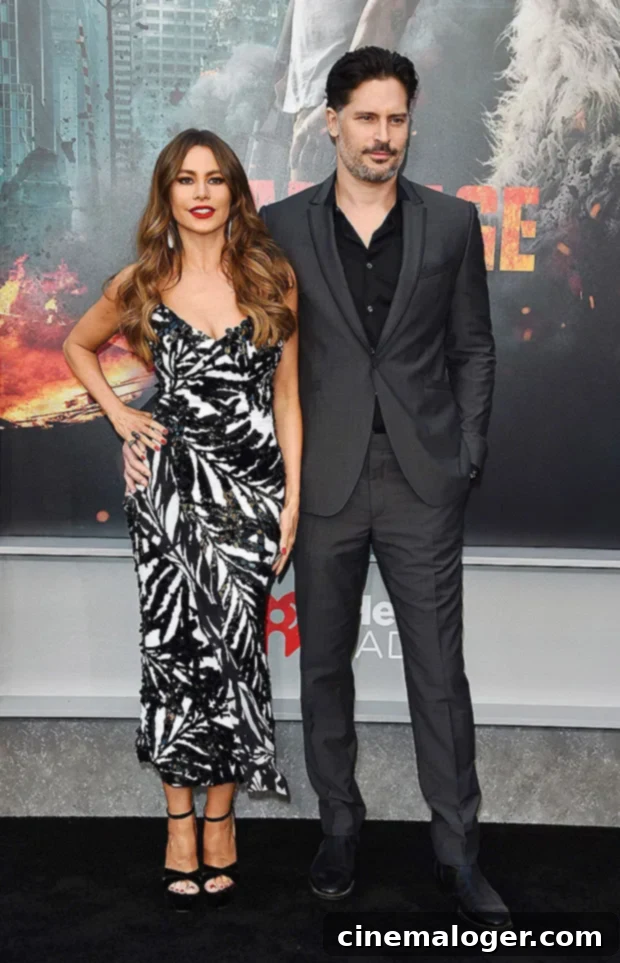 Joe Manganiello Files For Divorce From Sofia Vergara 3 Joe Manganiello Officially Files For Divorce From Sofia Vergara 2