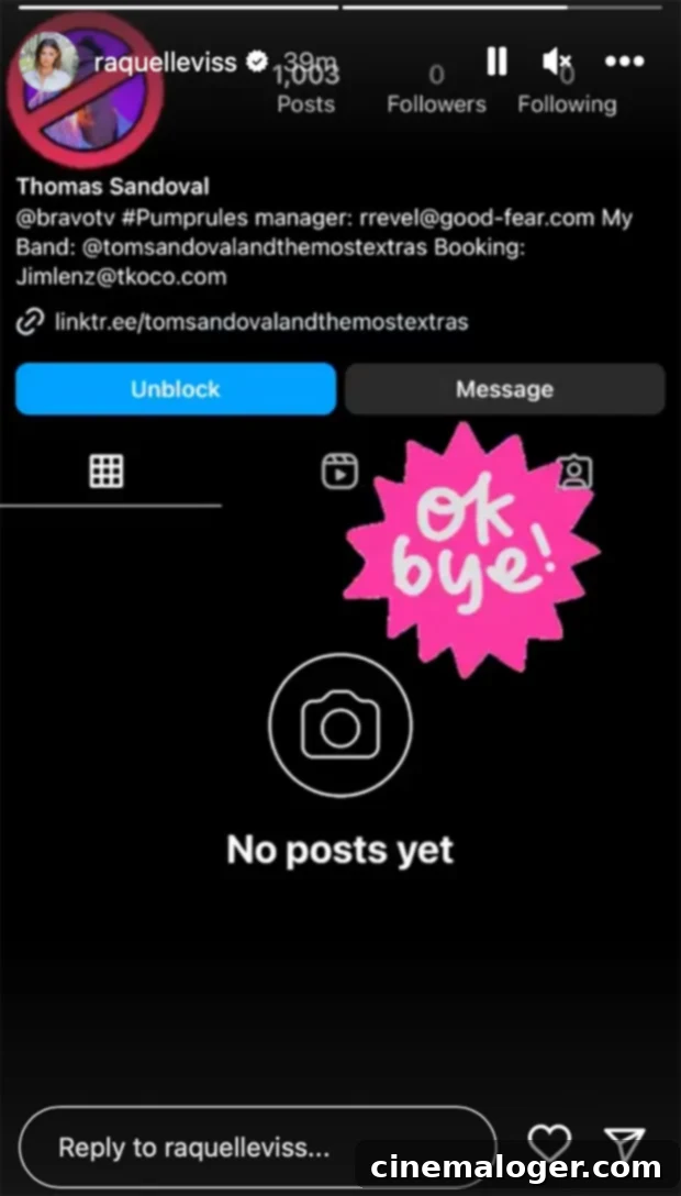 Tom Sandoval Blasts Raquel Leviss as 'Immature' and 'Petty' Following Birthday Block 3 Raquel Leviss