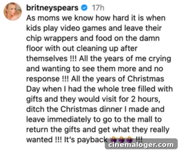 Britney Spears: Sons Allegedly Ditch Christmas, Return Presents 2 Britney Spears' Instagram Post