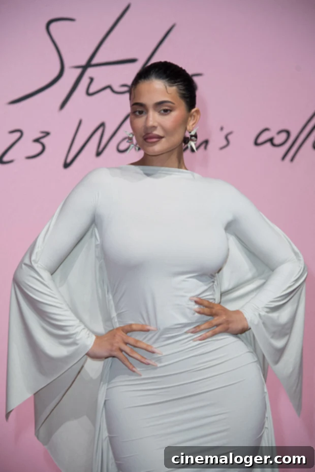 Timothee Chalamet Praises Kylie Jenner's Mothering Skills as Their Romance Kindles 2 Kylie Jenner and Timothée Chalamet's relationship is reportedly deepening, with Kylie referring to him as her boyfriend.