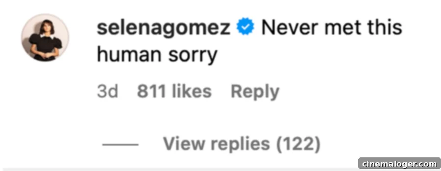 Selena Gomez Dispels Affair Talk With JFK's Grandson John Schlossberg 2 Selena Gomez's Instagram comment