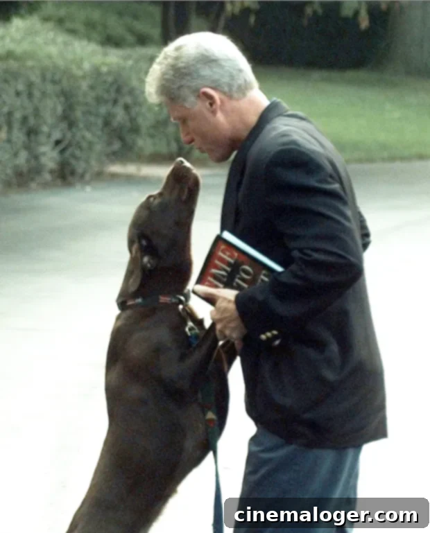Joe Biden's German Shepherd to Break Barriers as First Rescue Dog in White House: A Presidential Pet Retrospective 5 Bill Clinton and Buddy