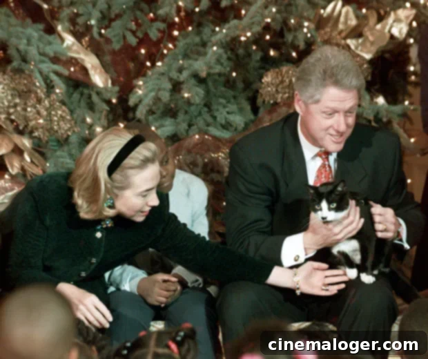 Joe Biden's German Shepherd to Break Barriers as First Rescue Dog in White House: A Presidential Pet Retrospective 6 Bill and Hillary Clinton with Socks