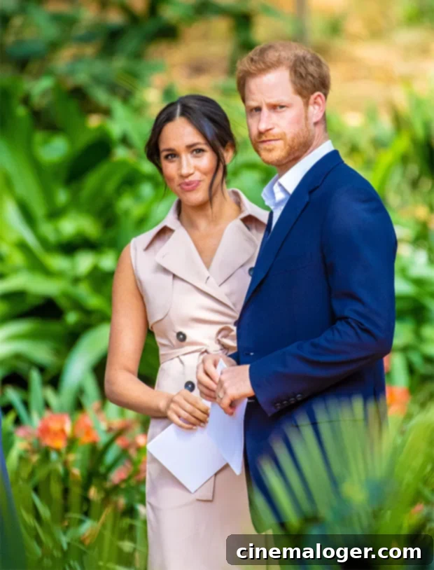 Harry and Meghan: Their Calculated Return to the Limelight 2 Prince Harry and Meghan Markle during their trip to South Africa