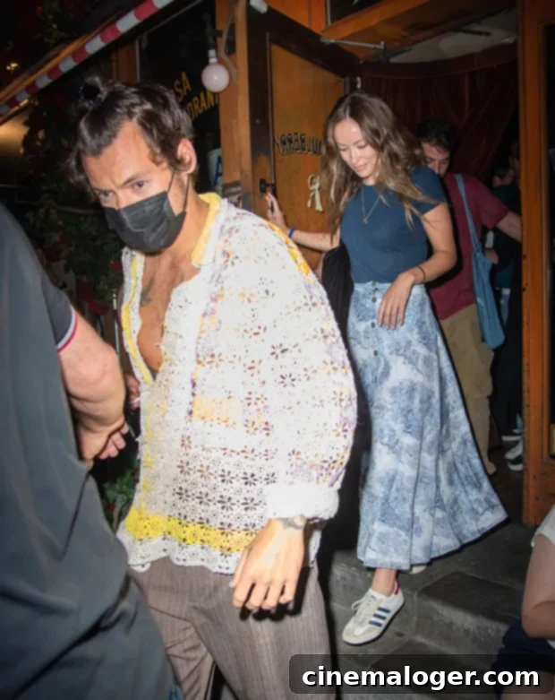 Harry Styles and Olivia Wilde