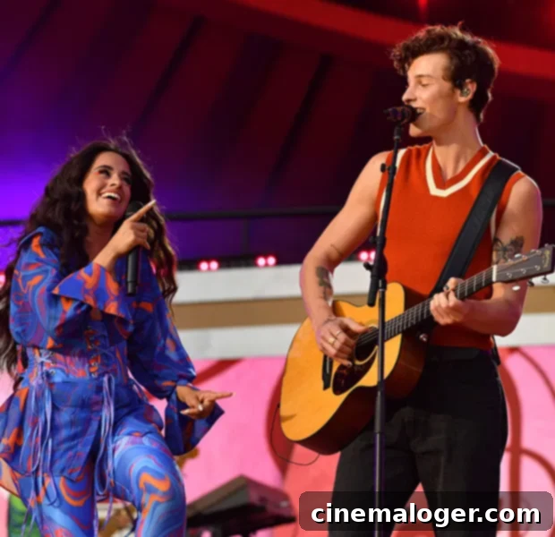 Camila Cabello and Shawn Mendes together